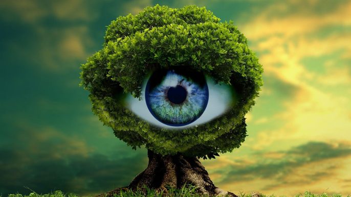 Le-boom-des-agences-de-creation-audiovisuelle