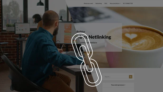 agence de netlinking vs plateforme de netlinking